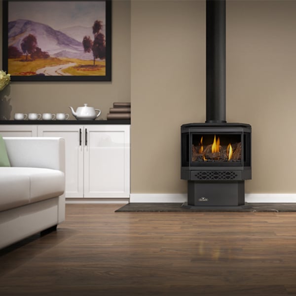 Napoleon GDS28 Haliburton Direct Vent Gas Stove | Woodland Direct