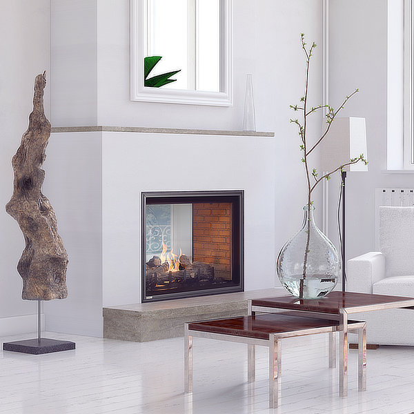 Montigo Divine H42FSD See-Through Direct Vent Gas Fireplace