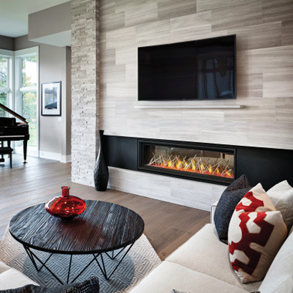 Napoleon Vector 62 Direct Vent See-Through Gas Fireplace